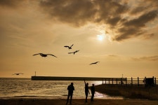 경기둘레길 - 기억의 흐름