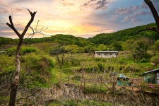경기둘레길 - 기억의 흐름