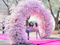 에덴벚꽃길 벚꽃축제 | 축제/행사안내 | 여행정보 | 경기관광플랫폼