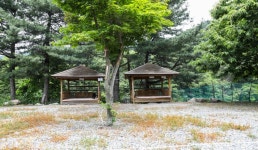 은석오토캠핑장 | 관광정보 | 여행정보 | 경기관광플랫폼