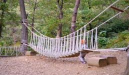 과천문원유아숲체험원 | 관광정보 | 여행정보 | 경기관광플랫폼