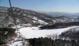 스타힐리조트 | 관광정보 | 여행정보 | 경기관광플랫폼