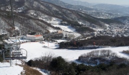 스타힐리조트 | 관광정보 | 여행정보 | 경기관광플랫폼
