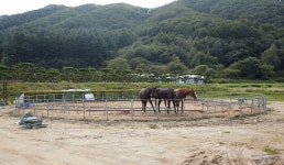 별빛체험마을 | 관광정보 | 여행정보 | 경기관광플랫폼