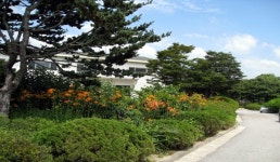 와우목장 | 관광지 | 여행정보 | 경기관광플랫폼