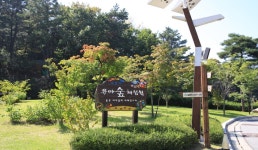 이천시유아숲체험원 | 관광정보 | 여행정보 | 경기관광플랫폼
