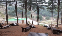 하늘아래 치유의 숲 | 관광정보 | 여행정보 | 경기관광플랫폼