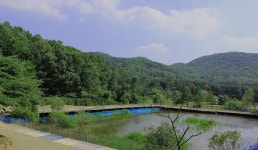 명학산 캠핑장 | 관광정보 | 여행정보 | 경기관광플랫폼