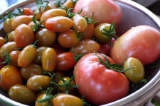 경기관광플랫폼