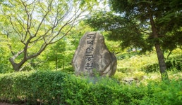 경기도 가볼만한곳 광명 공원 도덕산 출렁다리 아이들과 갈만한곳 유아숲체험원 | 여행이야기 | 추천여행 | 경기관광플랫폼