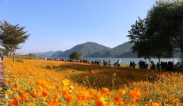 남양주 | 경기도 소개 | 지금경기 | 경기관광플랫폼