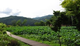 남양주 실학박물관 다산생태공원 경기도 여행 코스 | 여행이야기 | 추천여행 | 경기관광플랫폼