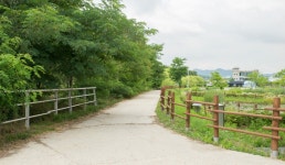 경기 의왕 가볼만한곳 왕송호수공원 레일바이크 코스모스 | 여행이야기... 가볼만한곳 왕송호수공원 레일바이크 코스모스  | 여행이야기... 