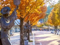 여유로움이 있는 대규모 복합공원 | 영상속경기도 | 경기관광플랫폼