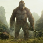 King Kong (Character) - Giant Bomb King Kong (Character) - Giant Bomb 