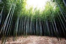 기장군 문화관광 > 기장관광 > 권역별 관광코스 > 정관·철마권역