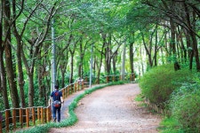 기장군 문화관광 > 산/바다 > 둘레길 > 테마임도