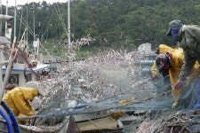 기장군 > 정보공개 > 행정알림 > 기장사람들 주요소식 (상세페이지)