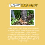 기장군 문화관광 > 맛집&특산물 > 숙박시설 (상세페이지)