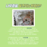 기장군 문화관광 > 맛집&특산물 > 숙박시설 (상세페이지)