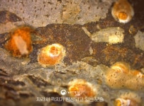 기장군 문화관광 > 맛집&특산물 > 숙박시설 (상세페이지)