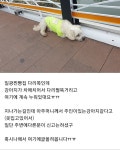 전자민원 > 신고센터 > 공무원불친절 신고 (상세페이지)