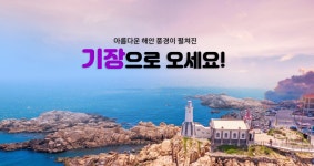 기장군청