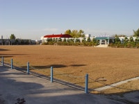 게시물 보기 페이지