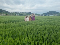 진봉면 > 우리동네 소식 > 사진.영상 | 김제시 진봉면