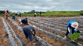 Gimje Welfare > Pregnancy/Childbirth > Cooperation with Financial Institutes for Community Child Care | 김제시청