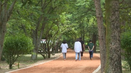 김제소식 > 뉴스룸 - 상세보기 | 김제시청