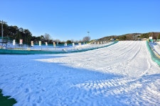 복지문화 - 뉴스포털