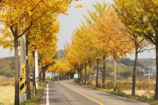 풍경/전경 - 김포시뉴스포털