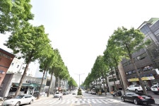 풍경/전경 - 김포시뉴스포털