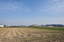 열린행정 - 뉴스포털