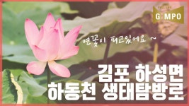 전체영상 - 김포시뉴스포털
