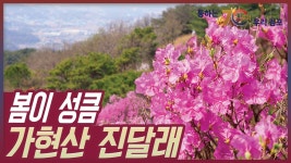 전체영상 - 김포시뉴스포털
