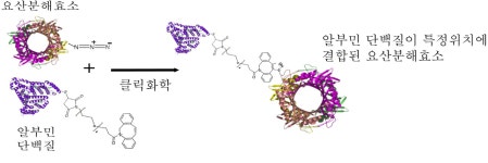 GIST Excellence< News <미디어센터 광주과학기술원