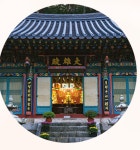 광주비전 :: 검색