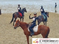 신안군, ‘임자 대광해변 승마 축제’ 열려