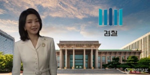 수심의, 김건희 여사 명품 가방 수수 의혹 불기소 의견