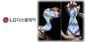 LG디스플레이, 애플 아이폰 OLED 점유율 30돌파…삼성 추격 가속화