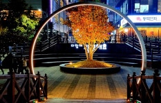 한내은하수길 : HOME > 관광지 > 관광명소 > 한내은하수길