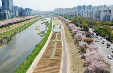 제4경 광명 안양천 : HOME > 광명 구(9)경 > 제4경 광명 안양천