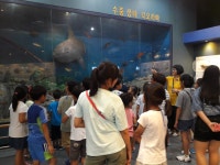 조선해양문화관 > 교육/행사마당 > 교육/행사사진 > [문화-교육]7월-딱딱이 친구들 모여라~ 프로그램 사진