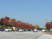 활동사진 - 강릉시 평생학습관 강릉시 평생학습관