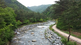 수목원은 지금 - 강릉솔향수목원