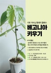 공지사항 - 강릉솔향수목원