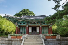 NEWS > GANGNEUNG CITY ENG GANGNEUNG CITY