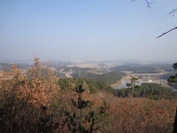 수목원은 지금 - 강릉솔향수목원